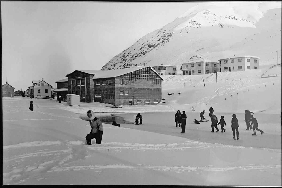 Skautað á tjörn