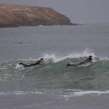 surf-6461.jpg