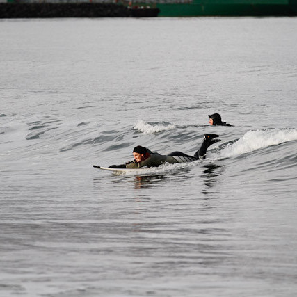 surf-6605.jpg