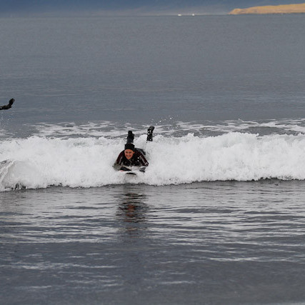 surf-6642.jpg