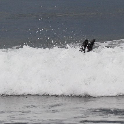 surf-6671.jpg