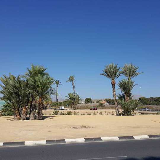 14457341_10154421140880479_4022857417971867025_n