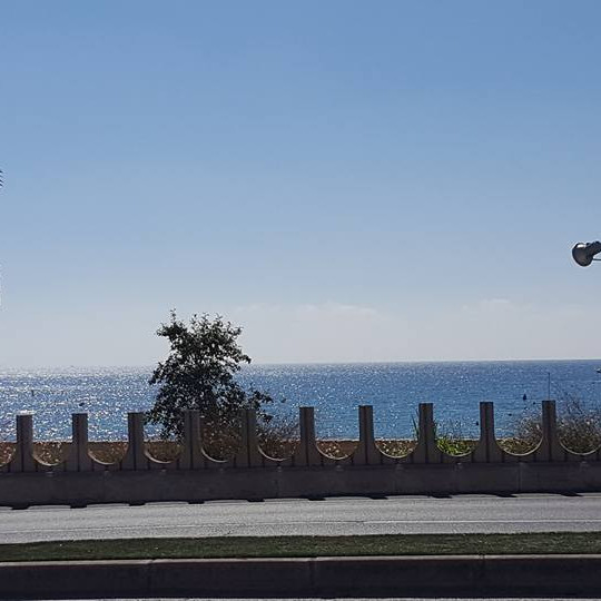 14457541_10154421141165479_4291832377654500209_n