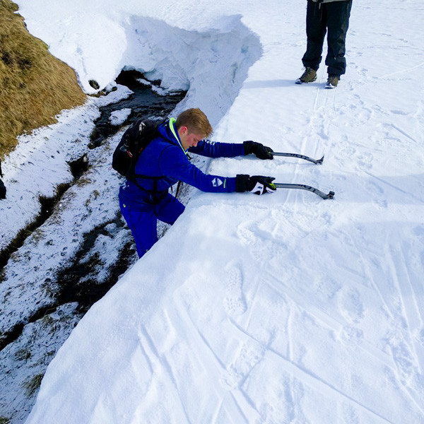 12932573_10153397708621260_3321183534005490547_n