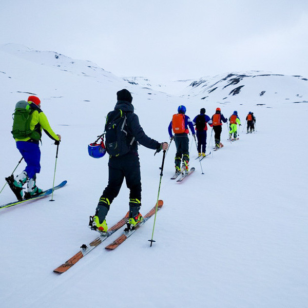 12938340_10153395792611260_6105496100809443834_n