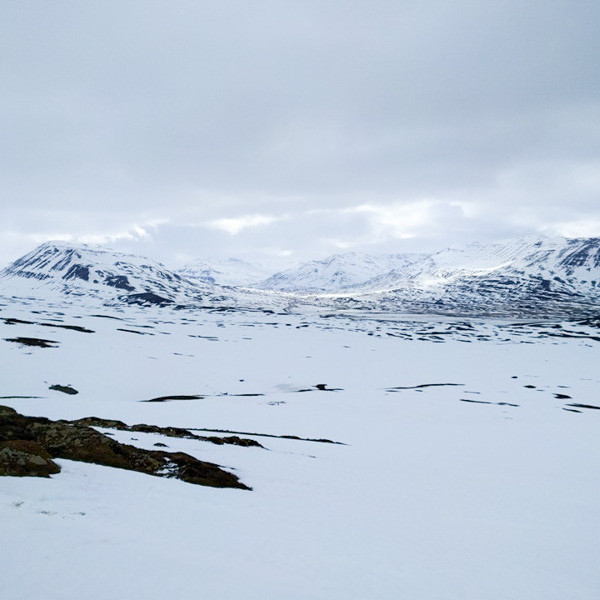 12961726_10153395794356260_6854017232707143645_n