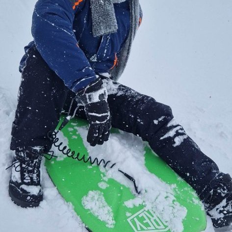 335959178_175180101533018_2867340895235688911_n