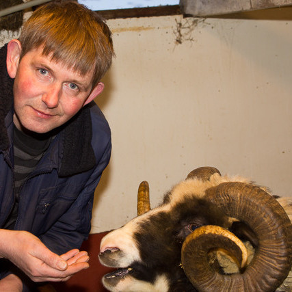 Úlfar og Glæsir mynd Andri