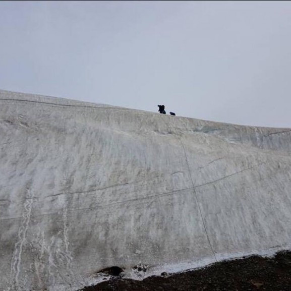 14423956_10153738923631260_617505778_o