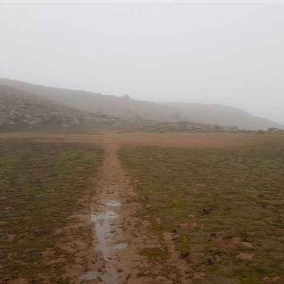 14424115_10153738922221260_401513493_o