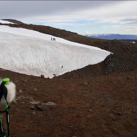 14455971_10153738923641260_177542092_o