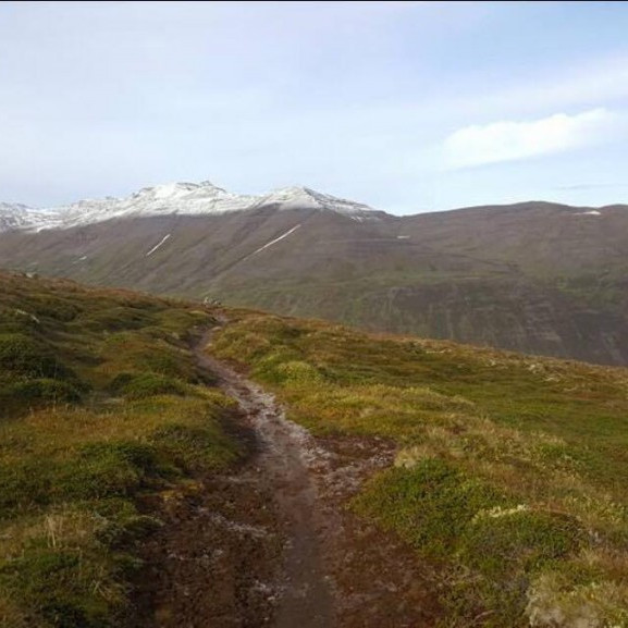 14466467_10153738922346260_1737845930_o