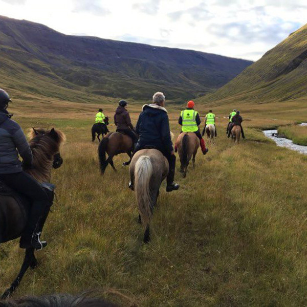 21849256_894497424037084_791943129_n