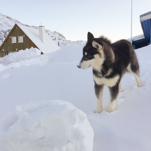 16735424_10154297376085686_1087778996_o