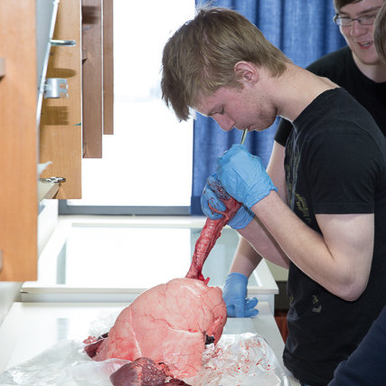 Blásið í lungu mynd GK