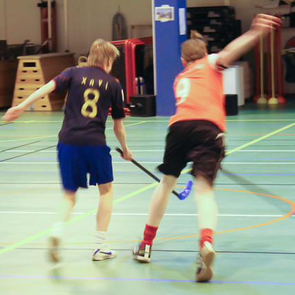 Bandy mynd Heiðar Karl