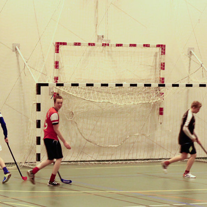 Bandy mynd Heiðar Karl