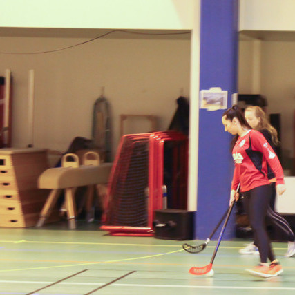 Bandy mynd Heiðar Karl