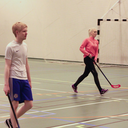 Bandy mynd Heiðar Karl