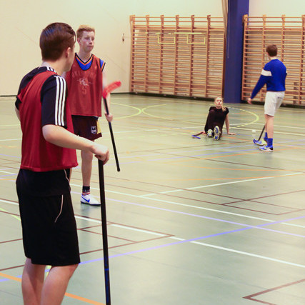 Bandy mynd Heiðar Karl