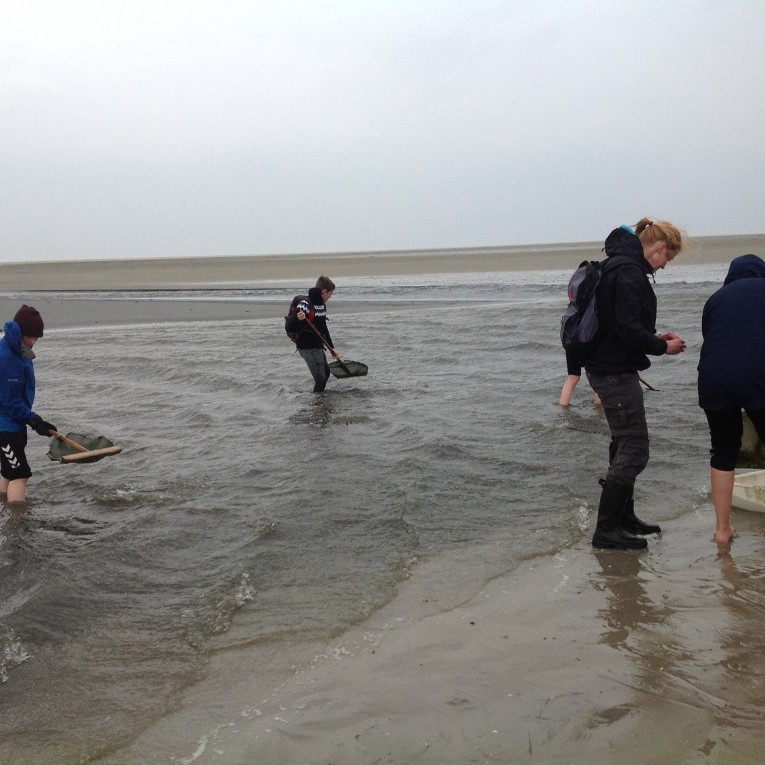 12087787_10153575925530479_1130978860972372865_o