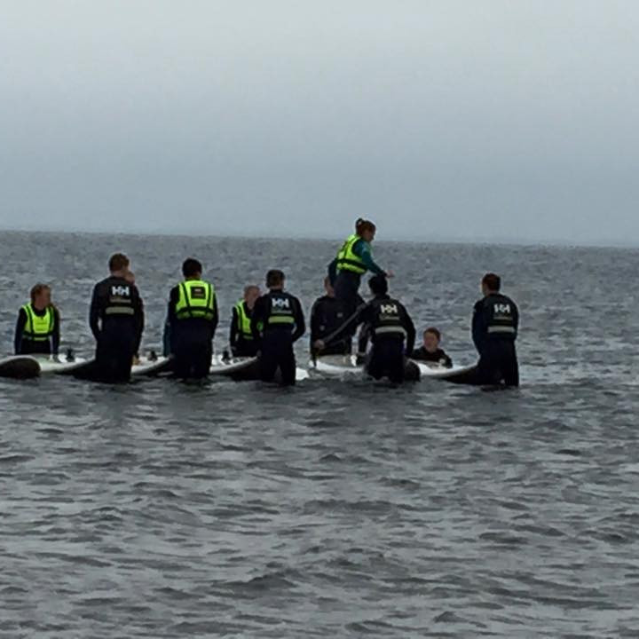 12088511_10207289052801670_5187283840186526851_n