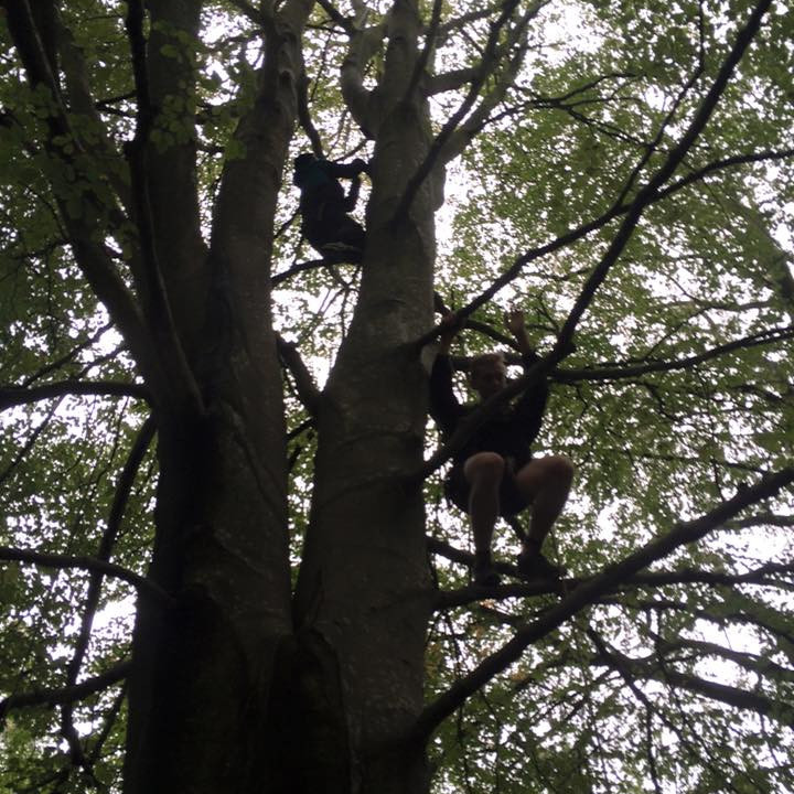 12122738_10153070838686260_456321835442866886_n