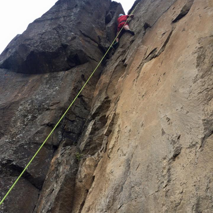 11999048_10153021005011260_2497255929097240383_n