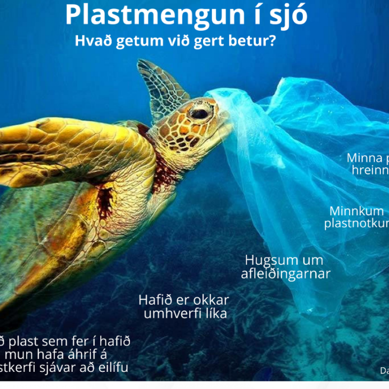 dana-run-magnusdottir