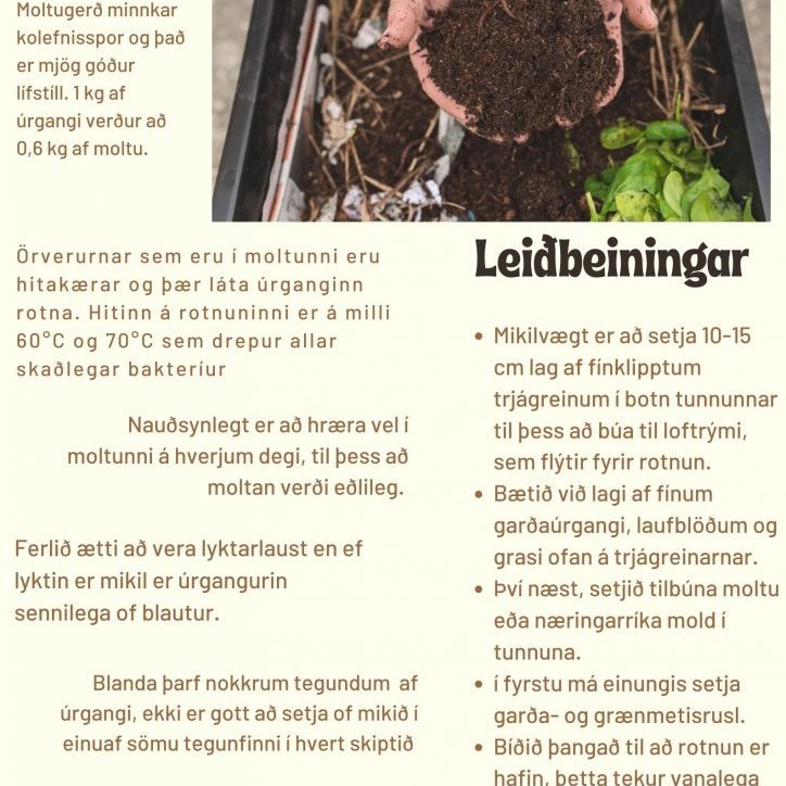 sara-sigurbjornsdottir