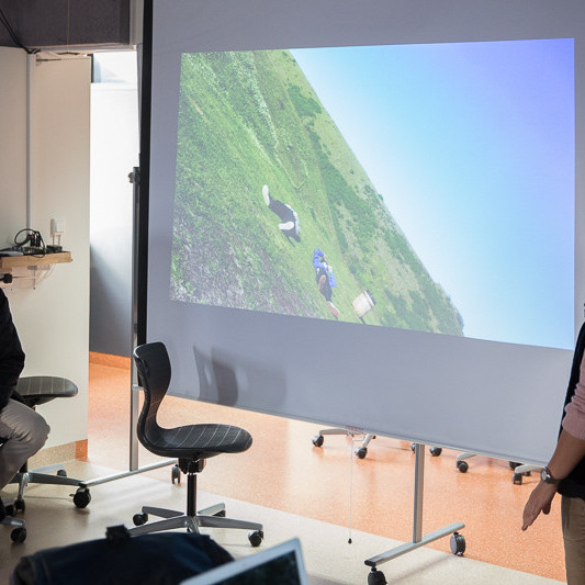 Ljósmyndun miðannarvika