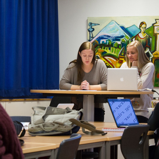 Elfa Sif og Anna Lena mynd HF