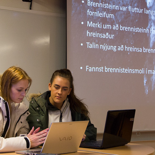 Dana Rún og Inga Ellen mynd HF