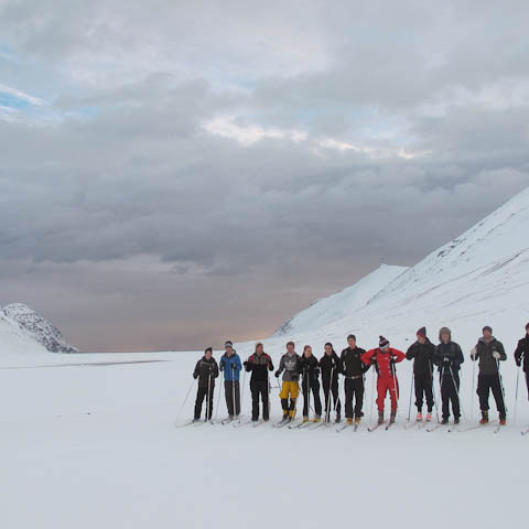 h-insfj-r-ur-liver-3726