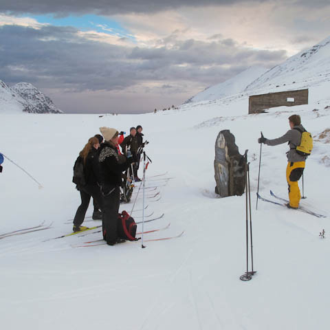 h-insfj-r-ur-liver-3728