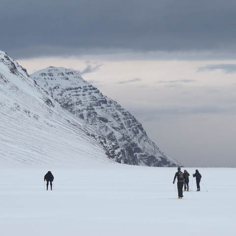 h-insfj-r-ur-liver-3729