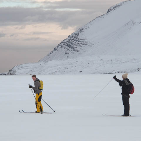 h-insfj-r-ur-liver-3730