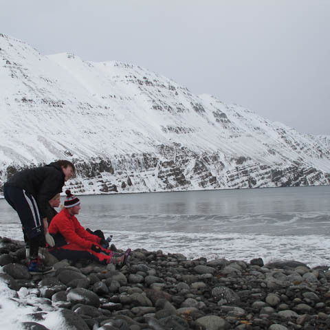 h-insfj-r-ur-liver-3734