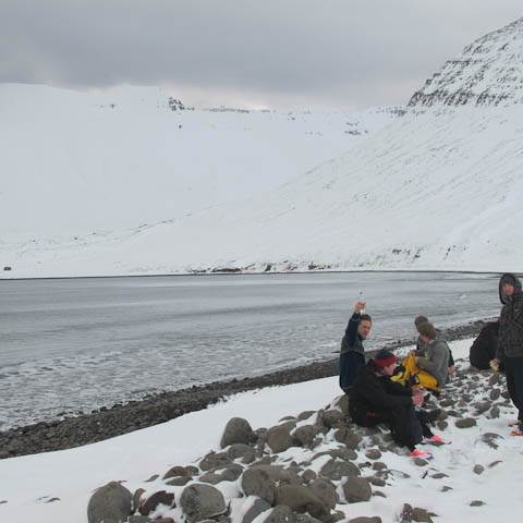 h-insfj-r-ur-liver-3736