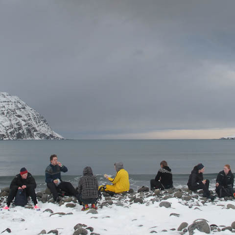 h-insfj-r-ur-liver-3737