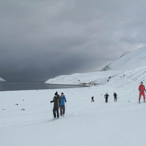 h-insfj-r-ur-liver-3747