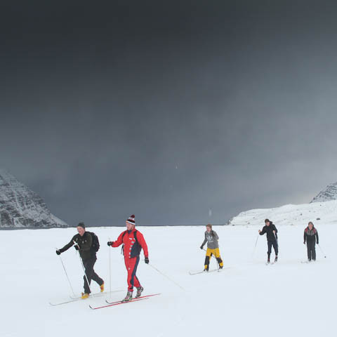 h-insfj-r-ur-liver-3750