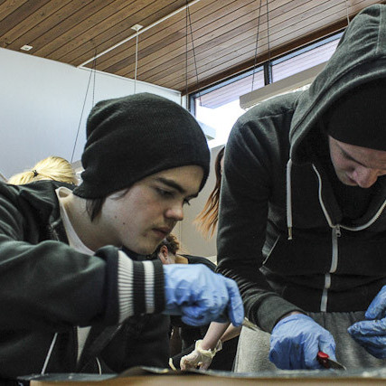 Nemendur kryfja fiska í sjávarútvegsfræði Mynd: Kristín Sigurjónsdóttir