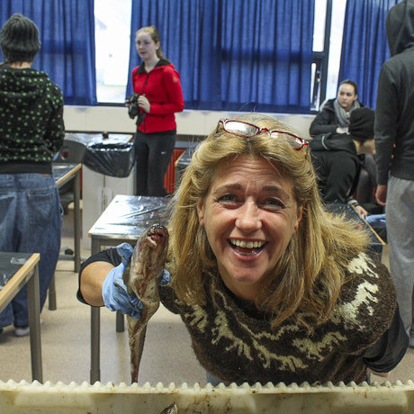 Helen í fiskakrufningunni Mynd: Kristín Sigurjónsdóttir