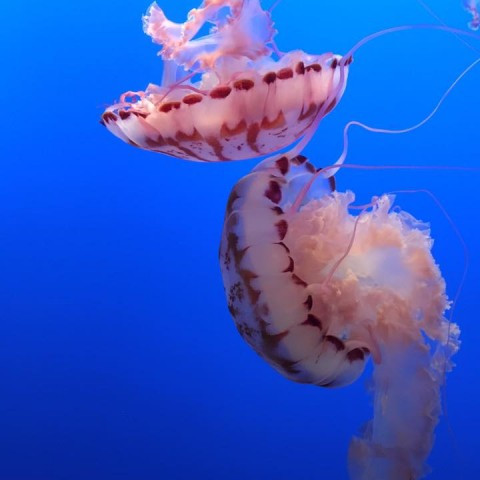 16114498_10154203153865686_7293187339869849094_n