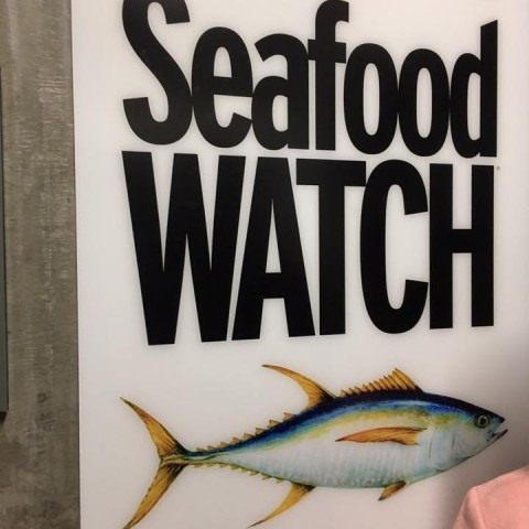 16114810_10154203153920686_5399244972465001163_n