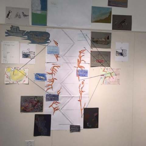 16142439_10154206048050686_8920593739342195569_n