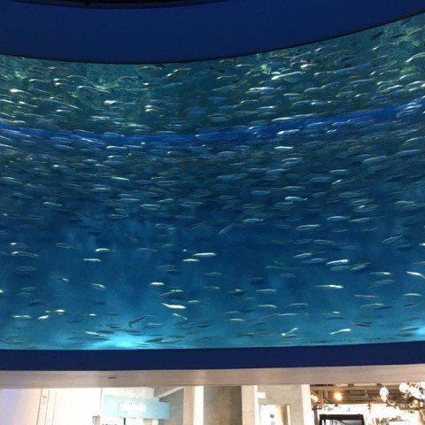 16143075_10154203153970686_3470816188090076338_n