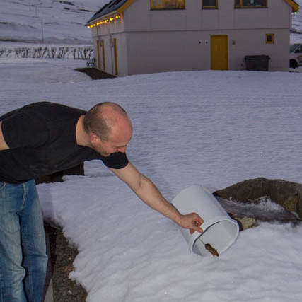 Óliver og músin mynd GK