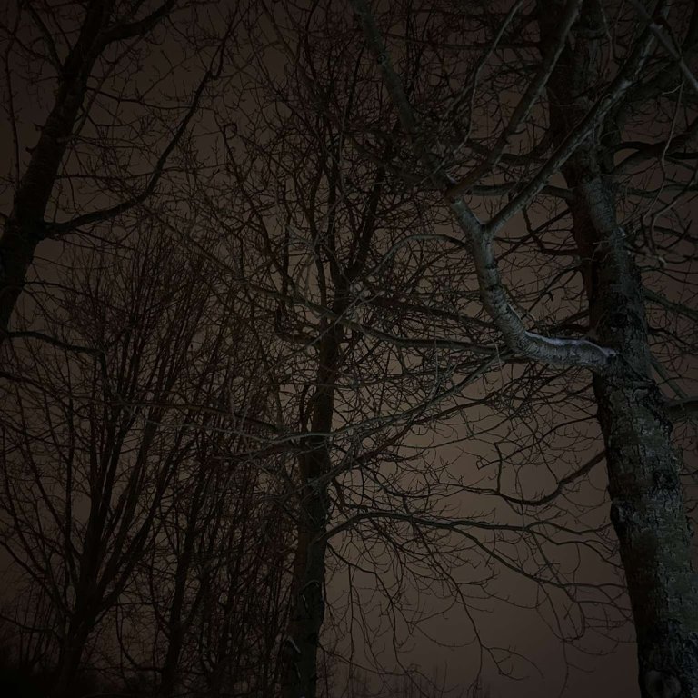 amelia-run-vilhelmsdottir-2